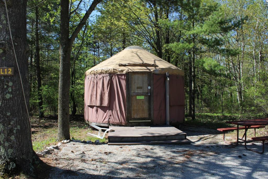 Tranquil Timbers Yurt 3 Main image 1